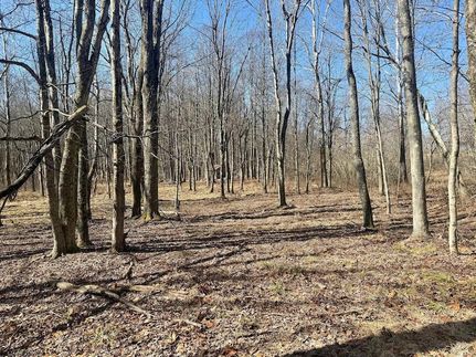 Undeveloped Land for sale in Taylor County, West Virginia