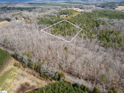 Undeveloped Land for sale in Laurens County, South Carolina