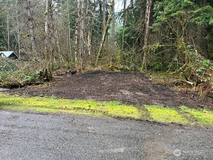 Undeveloped Land for sale in Pierce County, Washington