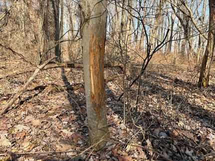 Undeveloped Land for sale in Washington County, Pennsylvania