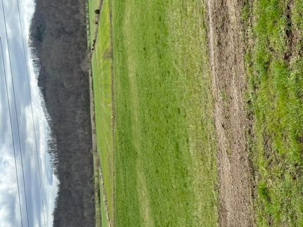 Undeveloped Land for sale in Lee County, Virginia