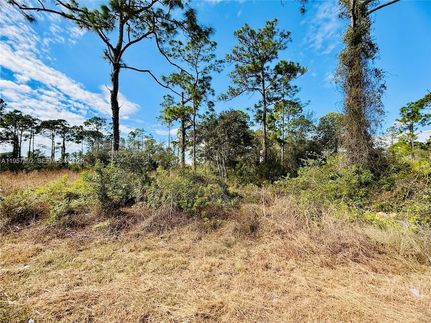 Property for sale in Lee County, Florida