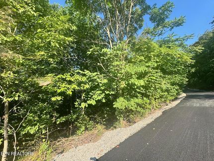 Undeveloped Land for sale in Overton County, Tennessee