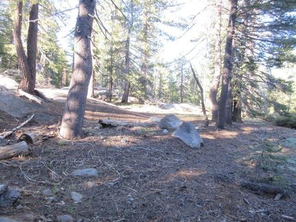 Undeveloped Land for sale in Alpine County, California