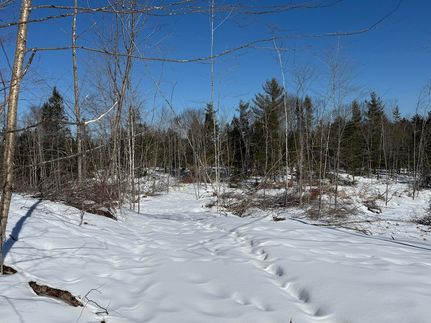 Undeveloped Land for sale in Somerset County, Maine