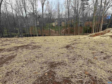 Property for sale in Albemarle County, Virginia