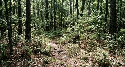 Property for sale in Aiken County, South Carolina