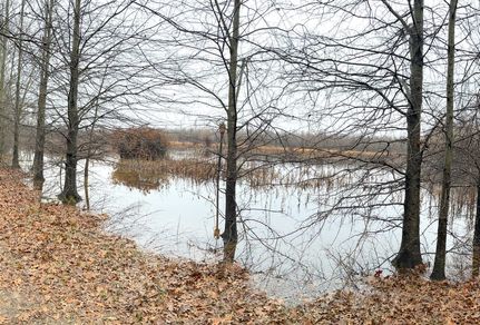 Timberland Property for sale in Crittenden County, Arkansas