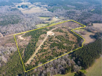 Property for sale in Newton County, Mississippi