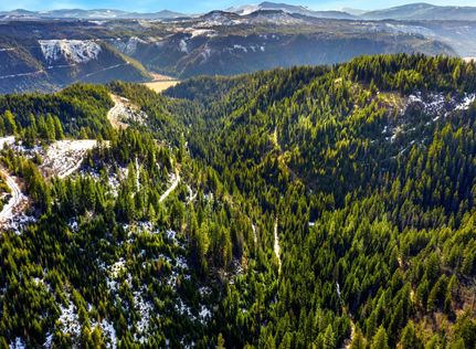 Timberland Property for sale in Benewah County, Idaho