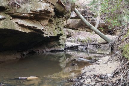 Timberland Property for sale in Winston County, Alabama