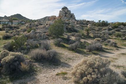 Horse Property for sale in San Bernardino County, California