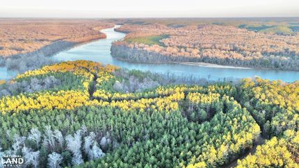 Timberland Property for sale in Choctaw County, Alabama