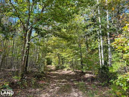 Timberland Property for sale in Buckingham County, Virginia