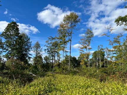 Timberland Property for sale in Warren County, Pennsylvania