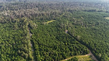 Recreational Property for sale in Vernon Parish, Louisiana