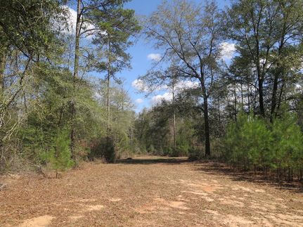 Timberland Property for sale in Wayne County, Mississippi