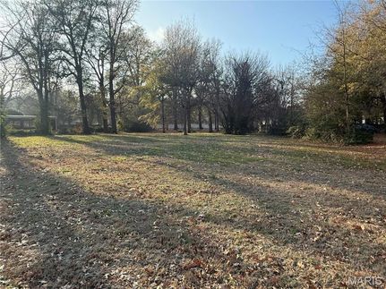 Undeveloped Land for sale in Dunklin County, Missouri