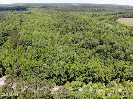 Undeveloped Land for sale in Allendale County, South Carolina