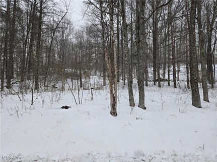 Undeveloped Land for sale in Morgan County, Ohio