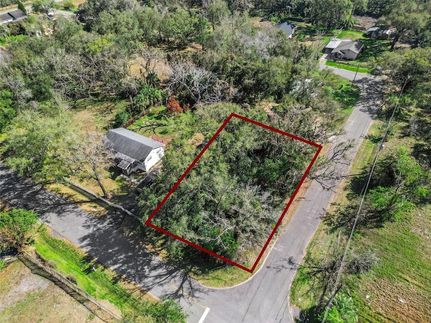 Undeveloped Land for sale in Orange County, Florida