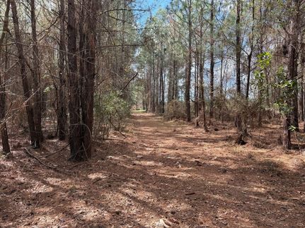 Property for sale in Pierce County, Georgia