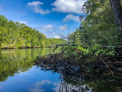 Waterfront Property for sale in Wakulla County, Florida