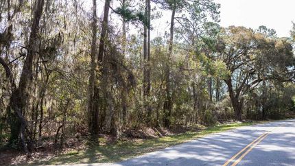 Undeveloped Land for sale in Glynn County, Georgia