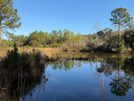Property for sale in Pierce County, Georgia