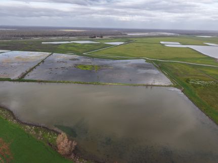 Timberland Property for sale in Pointe Coupee Parish, Louisiana