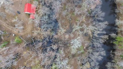 Riverfront Property for sale in Tattnall County, Georgia