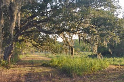 Ranch Property for sale in Brazoria County, Texas