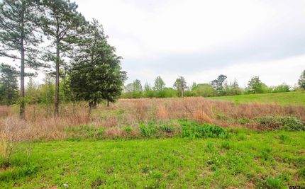 Undeveloped Land for sale in Smith County, Texas