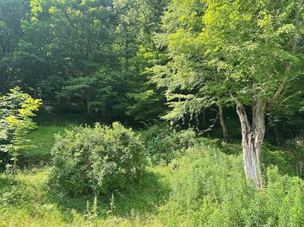 Property for sale in Nicholas County, West Virginia