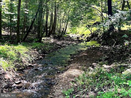 Property for sale in Clarke County, Virginia