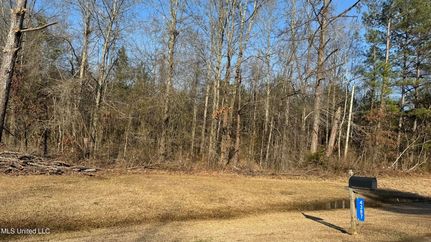 Undeveloped Land for sale in Newton County, Mississippi