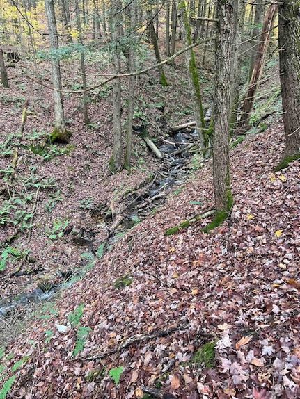 Property for sale in Windsor County, Vermont