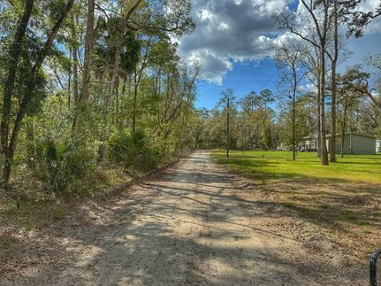 Undeveloped Land for sale in Gilchrist County, Florida