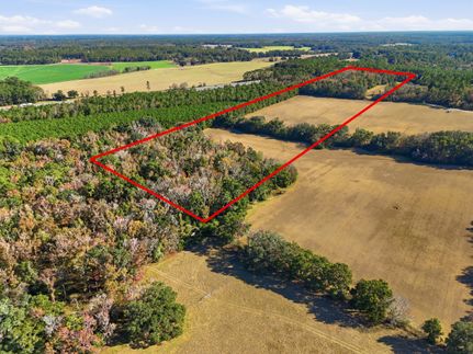 Hunting Land for sale in Alachua County, Florida