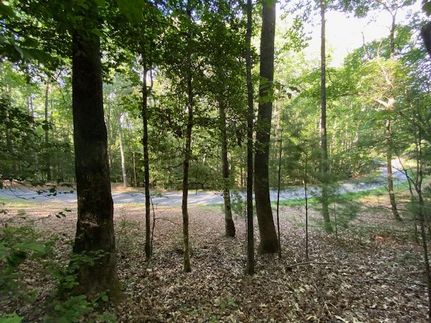 Property for sale in Union County, Georgia