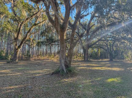 Hunting Land for sale in Taylor County, Florida
