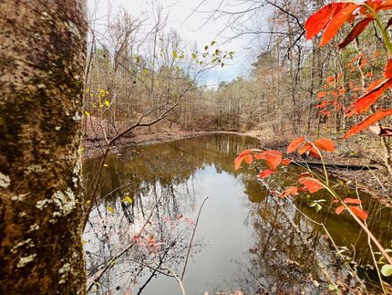 Recreational Property for sale in Prentiss County, Mississippi