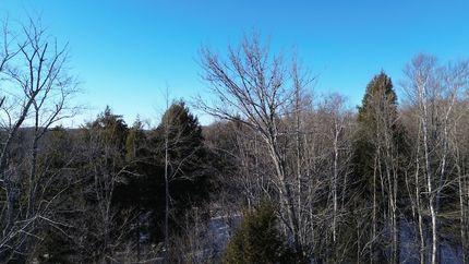 Property for sale in Knox County, Maine