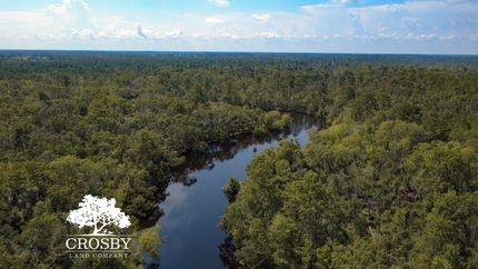 Property for sale in Lanier County, Georgia