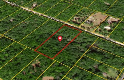 Property for sale in Dixie County, Florida