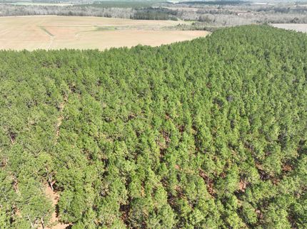Timberland Property for sale in Randolph County, Georgia
