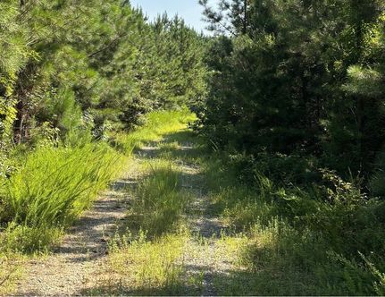 Property for sale in Caroline County, Virginia