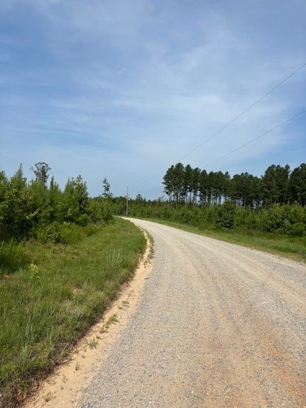 Timberland Property for sale in Mecklenburg County, Virginia