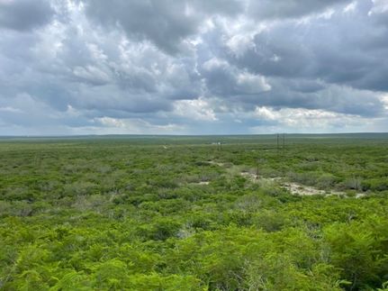 Property for sale in Duval County, Texas