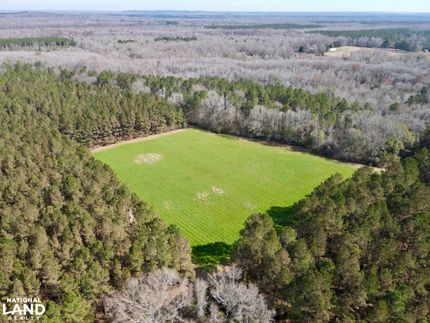 Timberland Property for sale in Wilcox County, Alabama